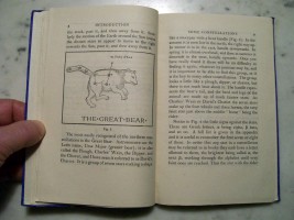 Great_Bear