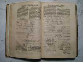 Schreckenfuchs Commentary