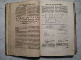 Schreckenfuchs Commentary