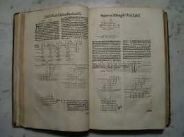 Schreckenfuchs Commentary