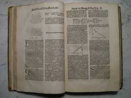 Schreckenfuchs Commentary