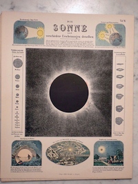 Plate 5