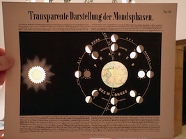 Plate 7