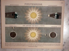 Plate 8