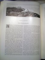 The Fixed Star World