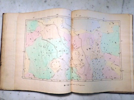 Plate 10