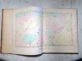 Plate 11