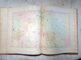 Plate 12