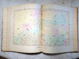 Plate 14