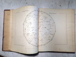 Plate 1