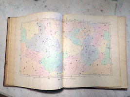 Plate 4