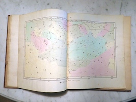 Plate 5