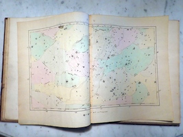 Plate 6