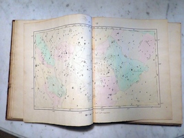 Plate 7