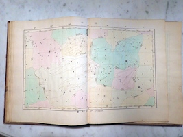 Plate 8