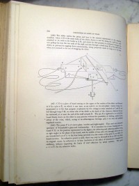 Device for Measuring the Intensity of Star Light