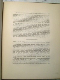 General Appearance of the Southern Milky Way