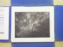 Vicinity Around Gamma Cygni