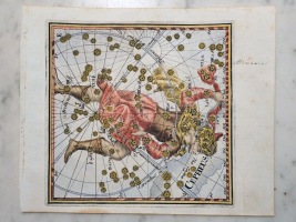 Cepheus from Mercurii Philosophici Firmamentum by Corbinian Thomas - 1730