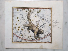 Ursa Minor from Mercurii Philosophici Firmamentum by Corbinian Thomas - 1730