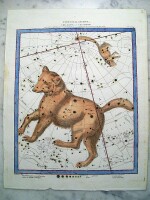 Ursa Major and Ursa Minor