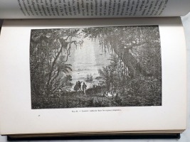 Zodiacal Light Seen From the Tropics