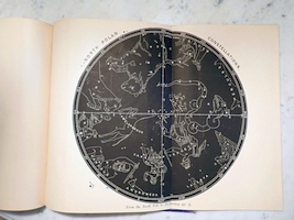 Plate 1