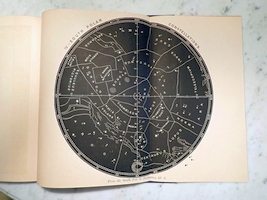 Plate 4