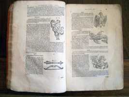 Constellations pp. 82 and 83