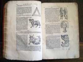 Constellations pp. 84 and 85