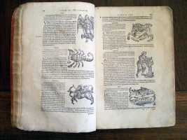 Constellations pp. 86 and 87