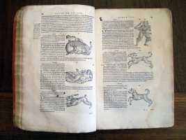 Constellations pp. 88 and 89