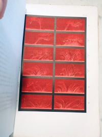 Volume 2 Part 1 Plate G