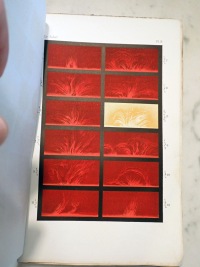 Volume 2 Part 1 Plate H