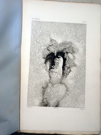 Volume 2 Part 2 Plate J