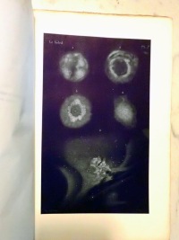 Volume 2 Part 2 Plate K