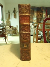 Spine