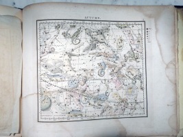 Colored Autumn Chart