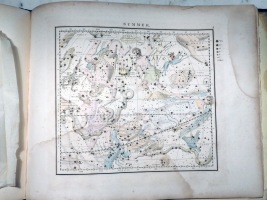 Colored Summer Chart