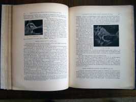 Observations by Bond