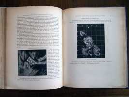 Schmidt and Secchi Observations