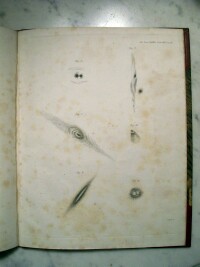 Figures 6 through 11