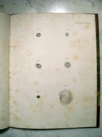 Figures 12 through 17