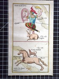 Print from Atlas Portatilis Coelestis 1723 - Table 36