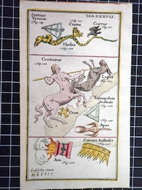 Print from Atlas Portatilis Coelestis 1723 - Table 37