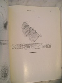 Southern Aurora Sketch