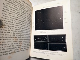 Plate 50
