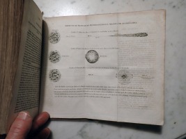 Motion of Masses and Aggregates