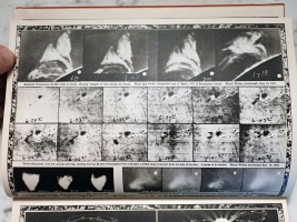 Eruptive Solar Prominences