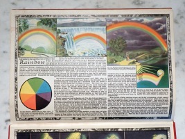 Rear Flyleaf (Rainbow)